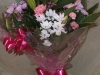 gosport-florist-hostess-5